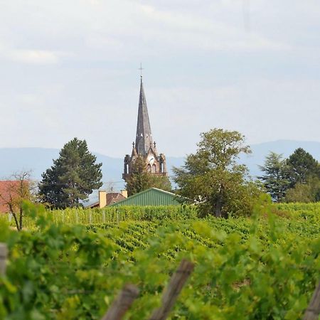Les Cerisiers Villa Bernardswiller Bagian luar foto